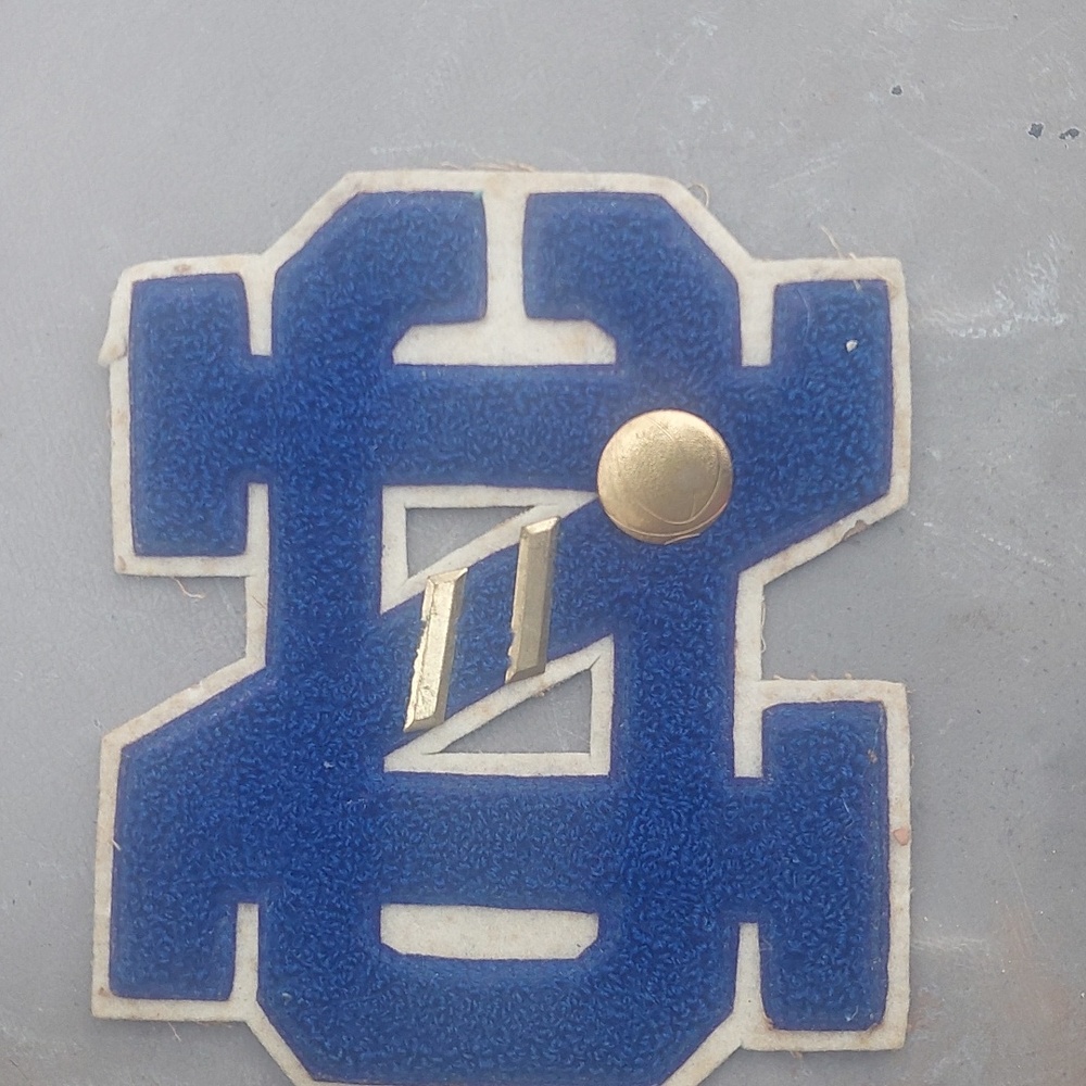 Vtg. Defunct Niagara Falls NY Catholic High School Team Logo Vinyl Decal Sticker